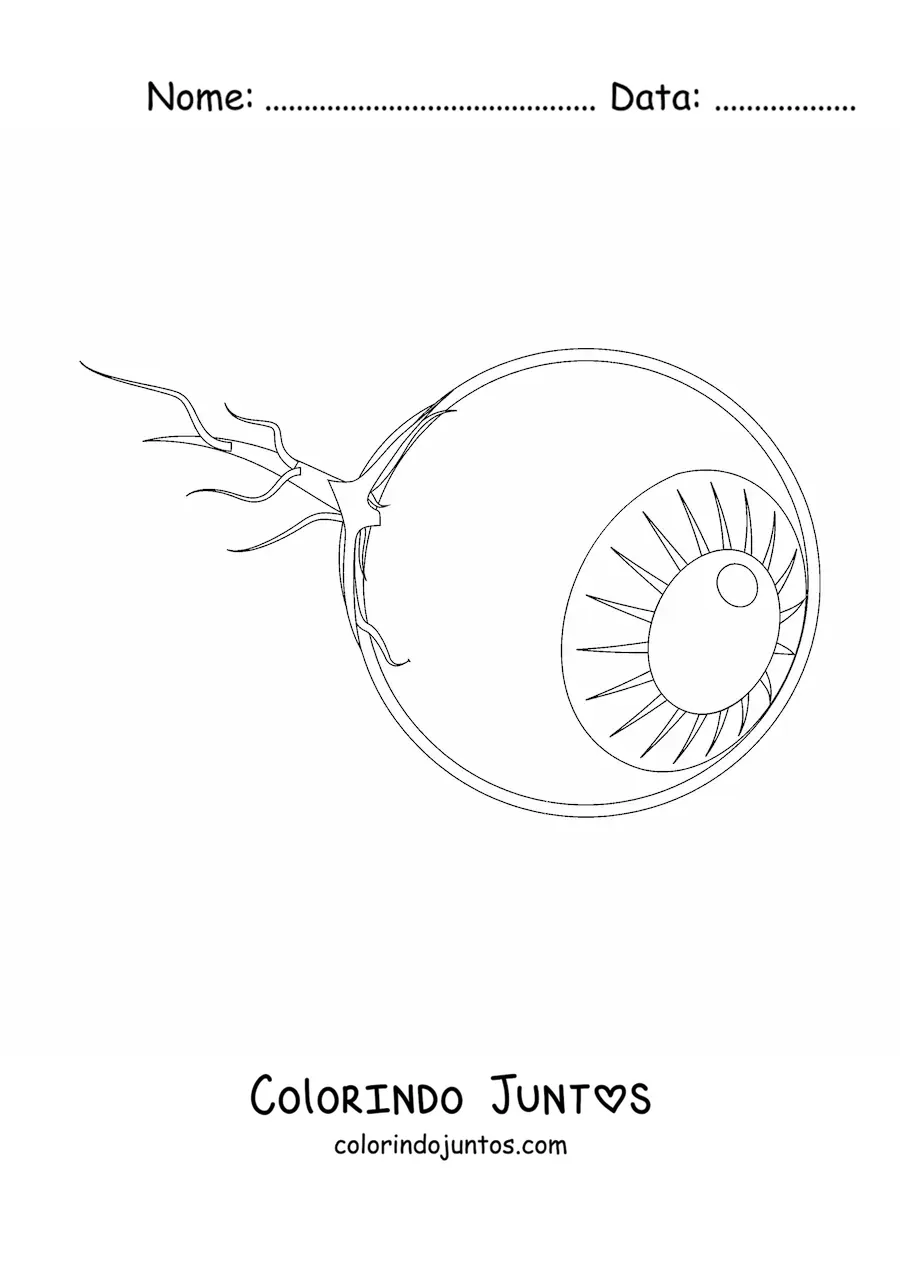 Desenho para colorir de um globo ocular