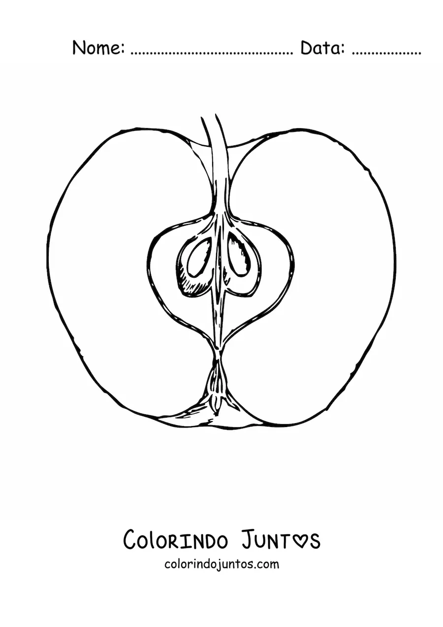 Desenho para colorir de meia maçã