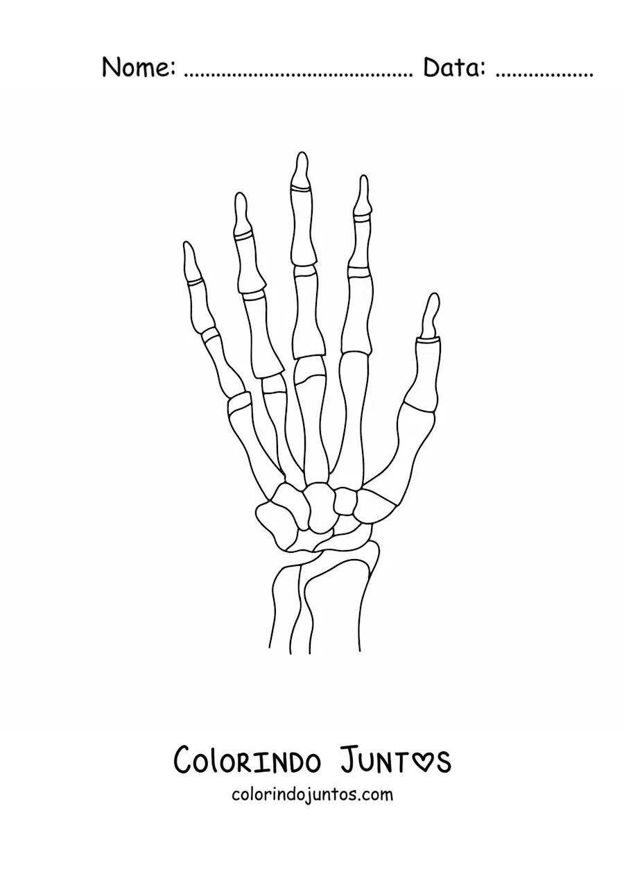 Desenho para colorir dos ossos da mão