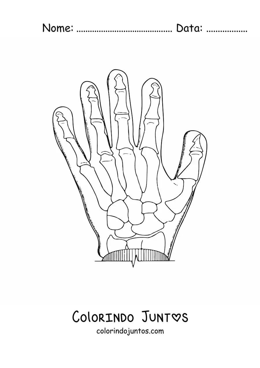 Desenho para colorir de uma radiografia de uma mão