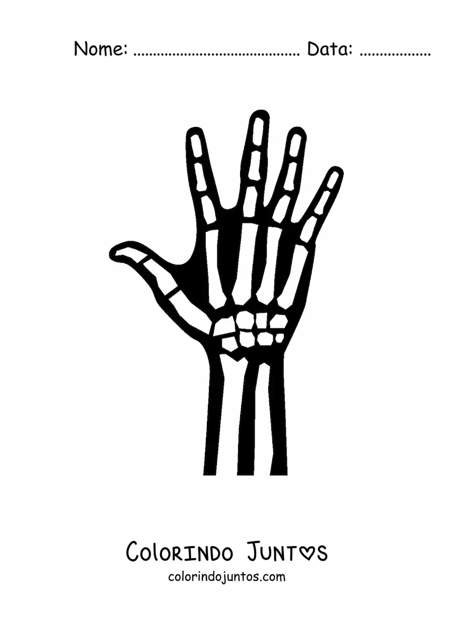 Desenho para colorir de uma radiografia da mão direita