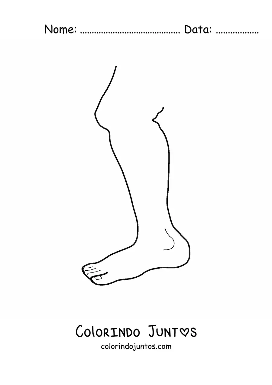 Desenho para colorir de uma perna