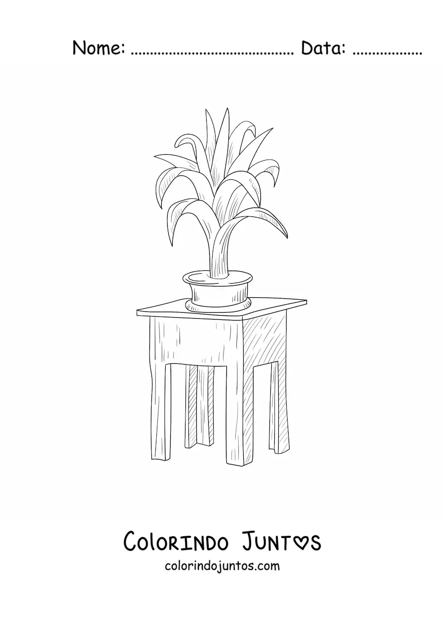 Desenho para colorir de uma planta sobre uma mesa quadrada pequena
