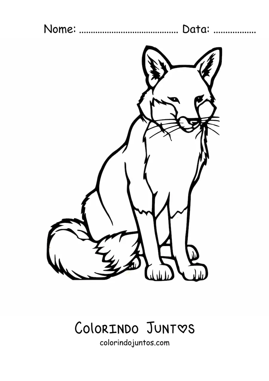Desenho para colorir de uma raposa selvagem sentada