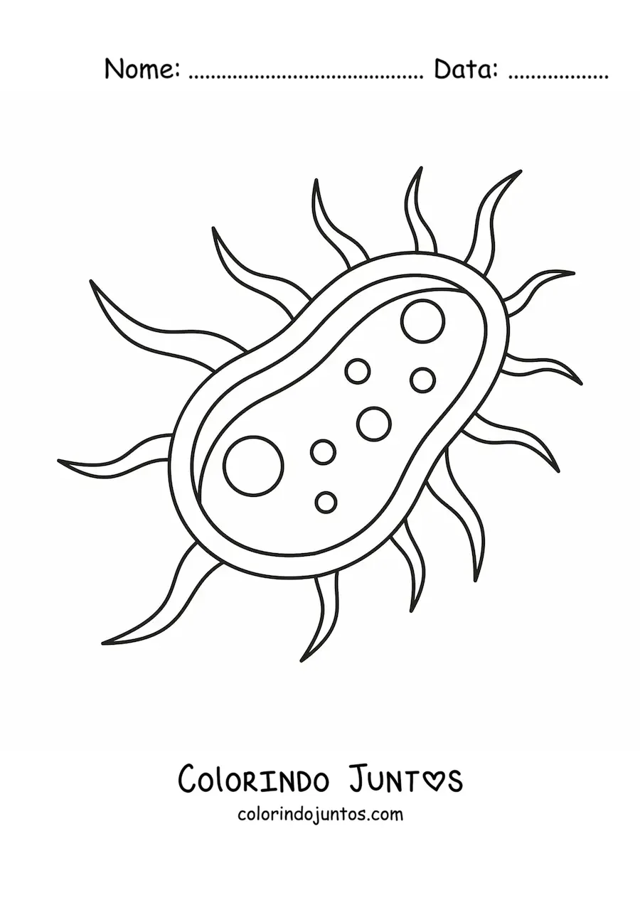 Desenho para colorir de uma célula bacteriana