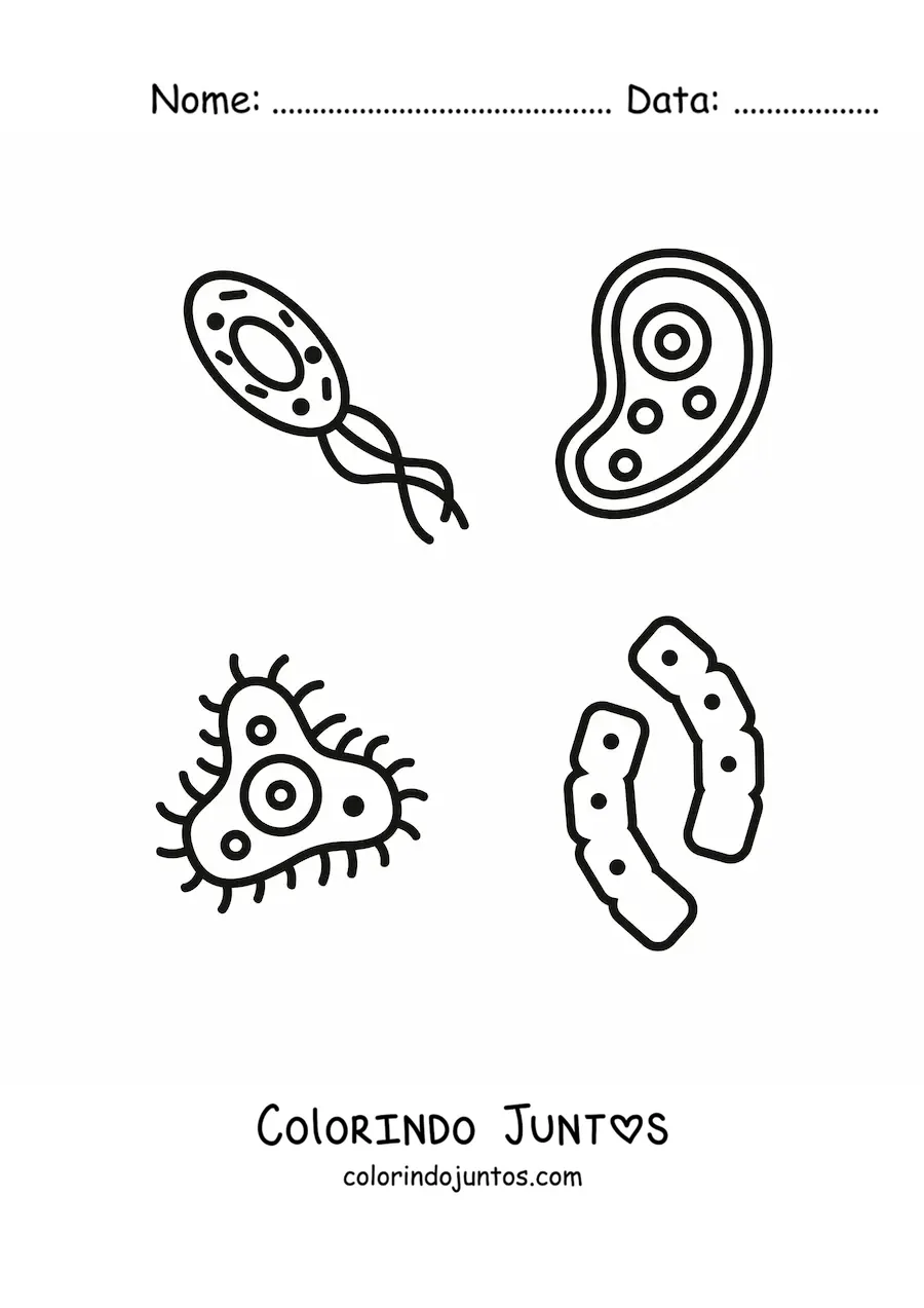 Desenho para colorir de vários microrganismos