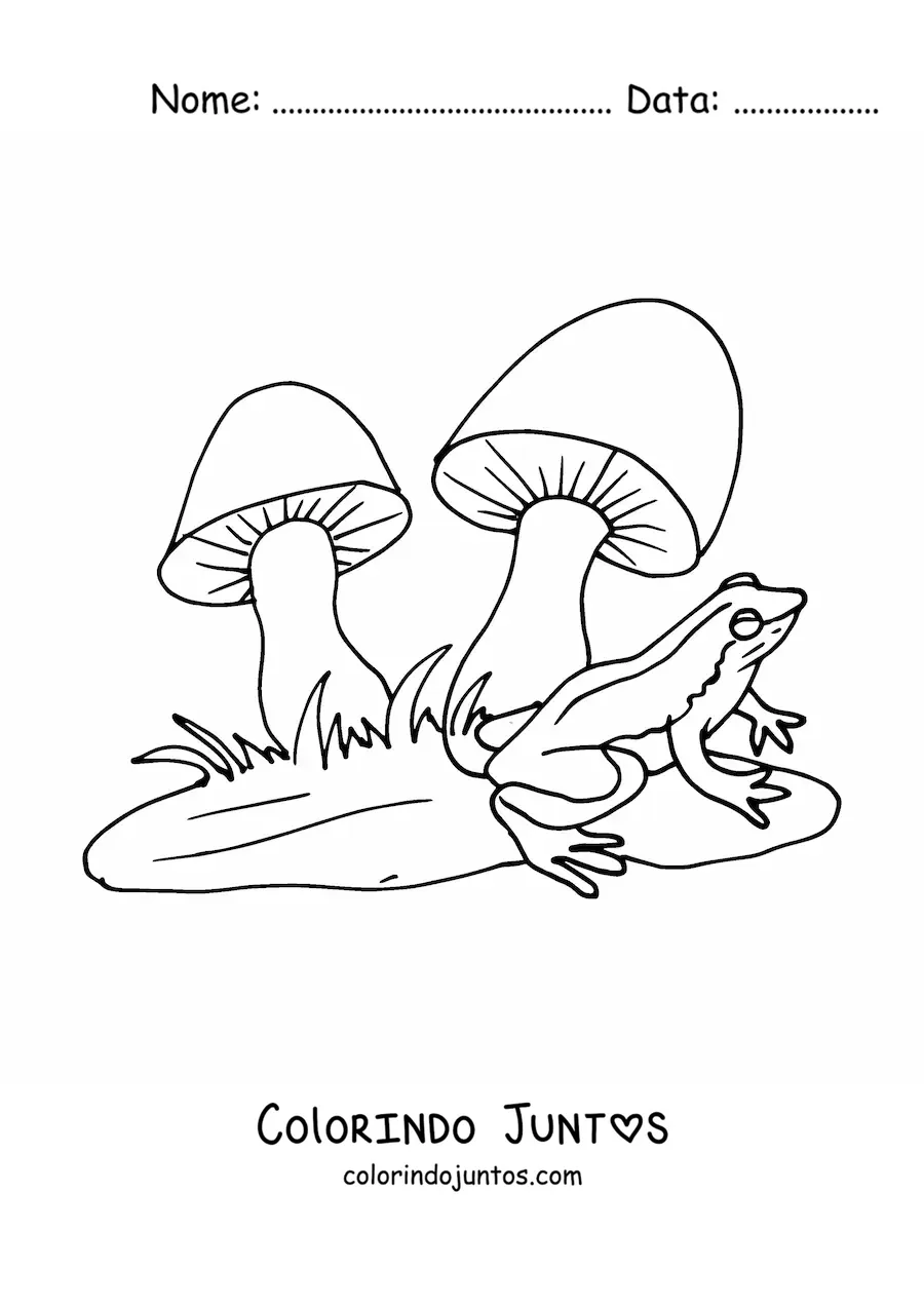 Desenho para colorir de um sapo junto a dois cogumelos
