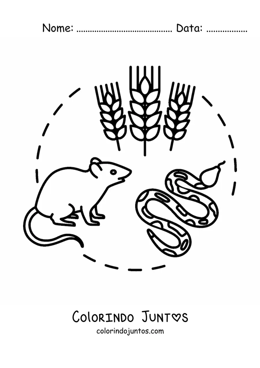 Desenho para colorir da cadeia alimentar terrestre