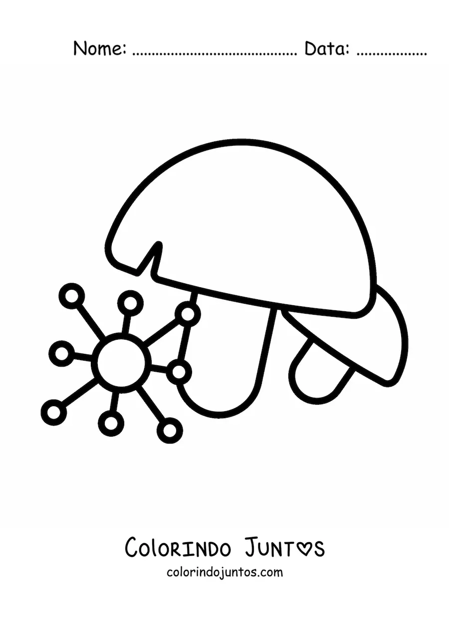 Desenho para colorir do reino fungi