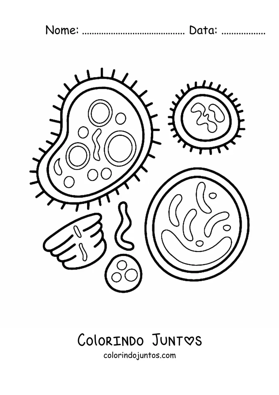 Desenho para colorir de bactérias e células