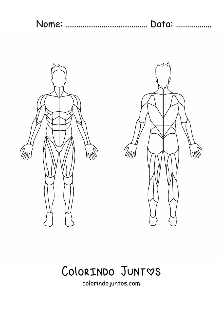 Desenho para colorir do sistema muscular humano