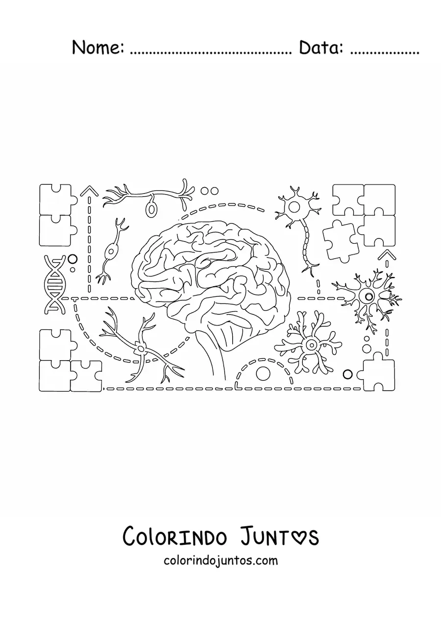 Desenho para colorir do sistema nervoso central humano