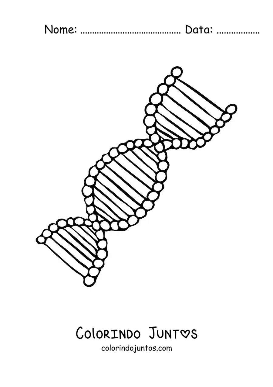 Desenho para colorir de uma cadeia de DNA