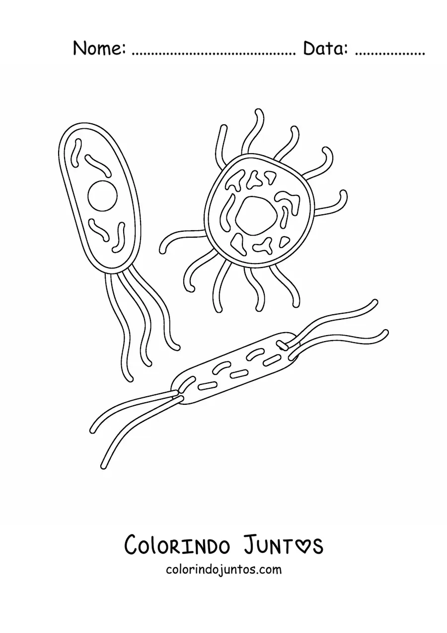 Desenho para colorir de vários microrganismos celulares