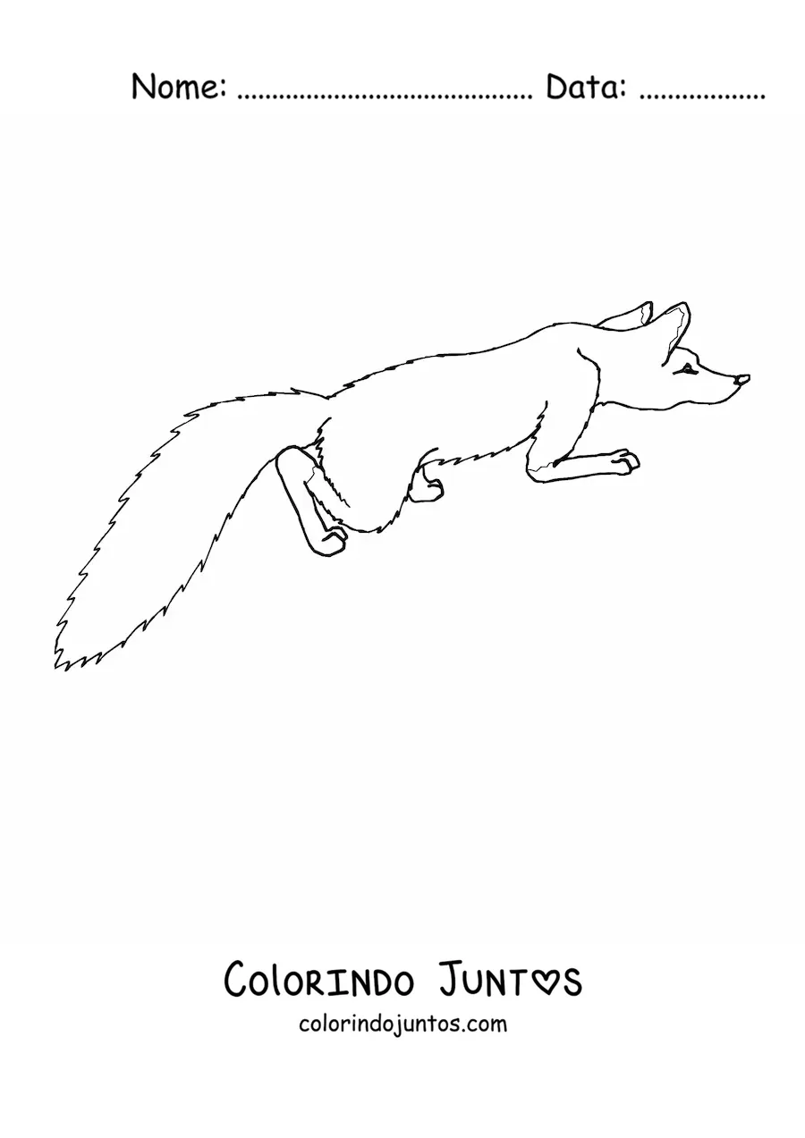Desenho para colorir de uma raposa selvagem agachada vista de cima