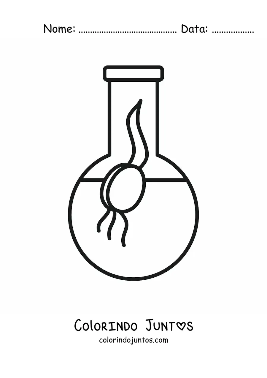 Desenho para colorir da germinação de uma semente
