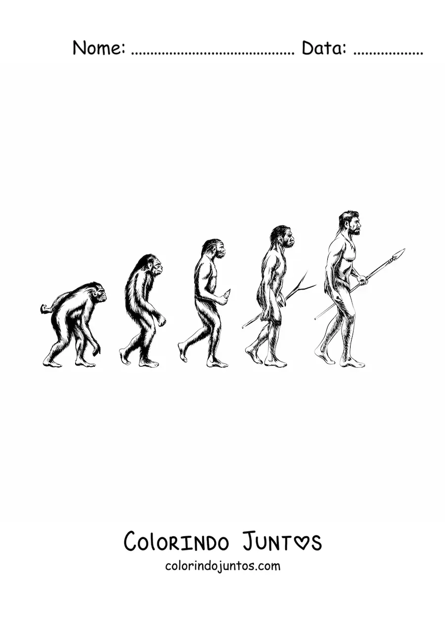 Desenho para colorir da evolução humana