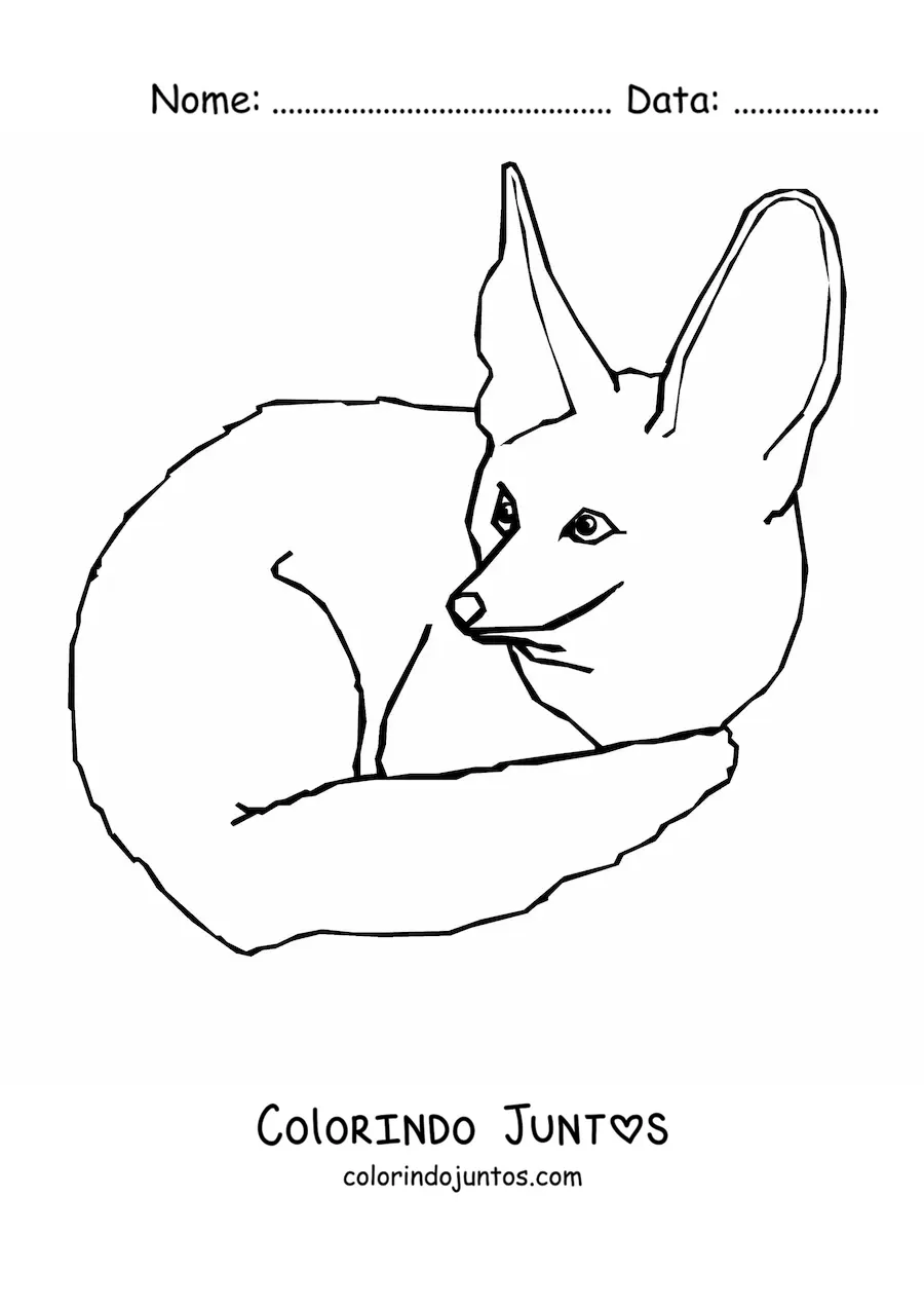 Desenho para colorir de uma raposa-do-deserto agachada