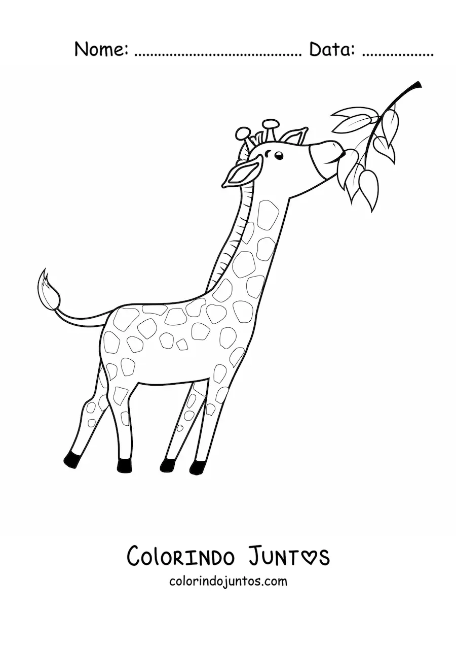 Desenho para colorir de uma girafa animada comendo folhas esticando o pescoço
