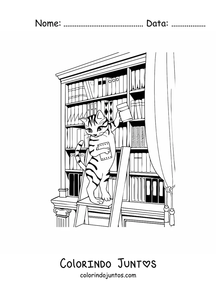 Desenho para colorir de um gato animado procurando um livro na biblioteca