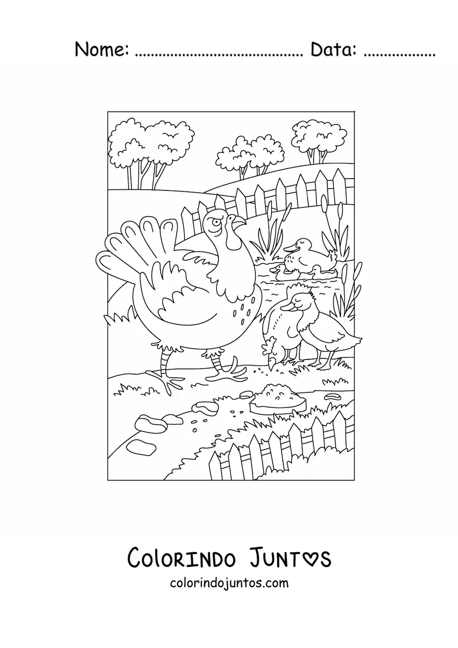Desenho para colorir de várias aves na fazenda