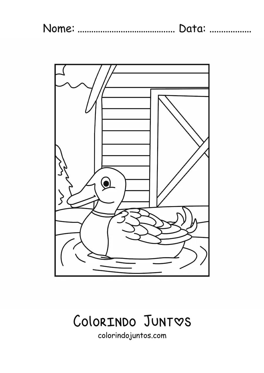 Desenho para colorir de um pato na fazenda