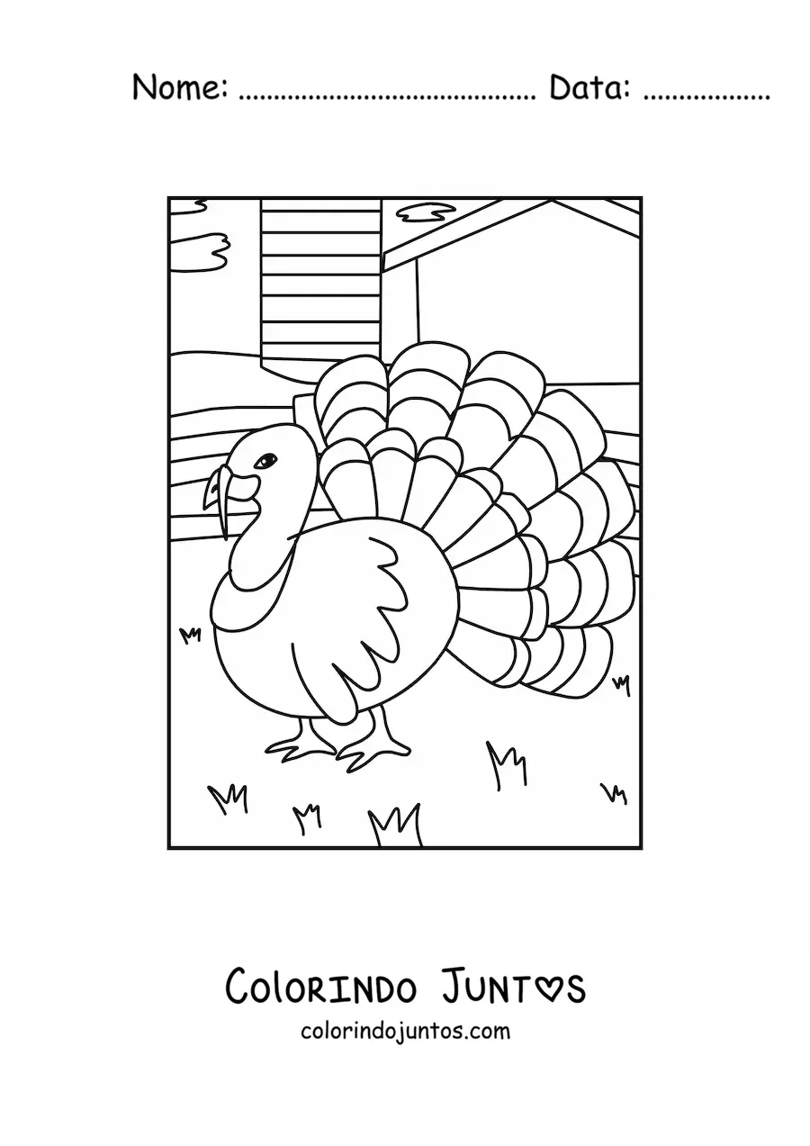 Desenho para colorir de um pavão na fazenda