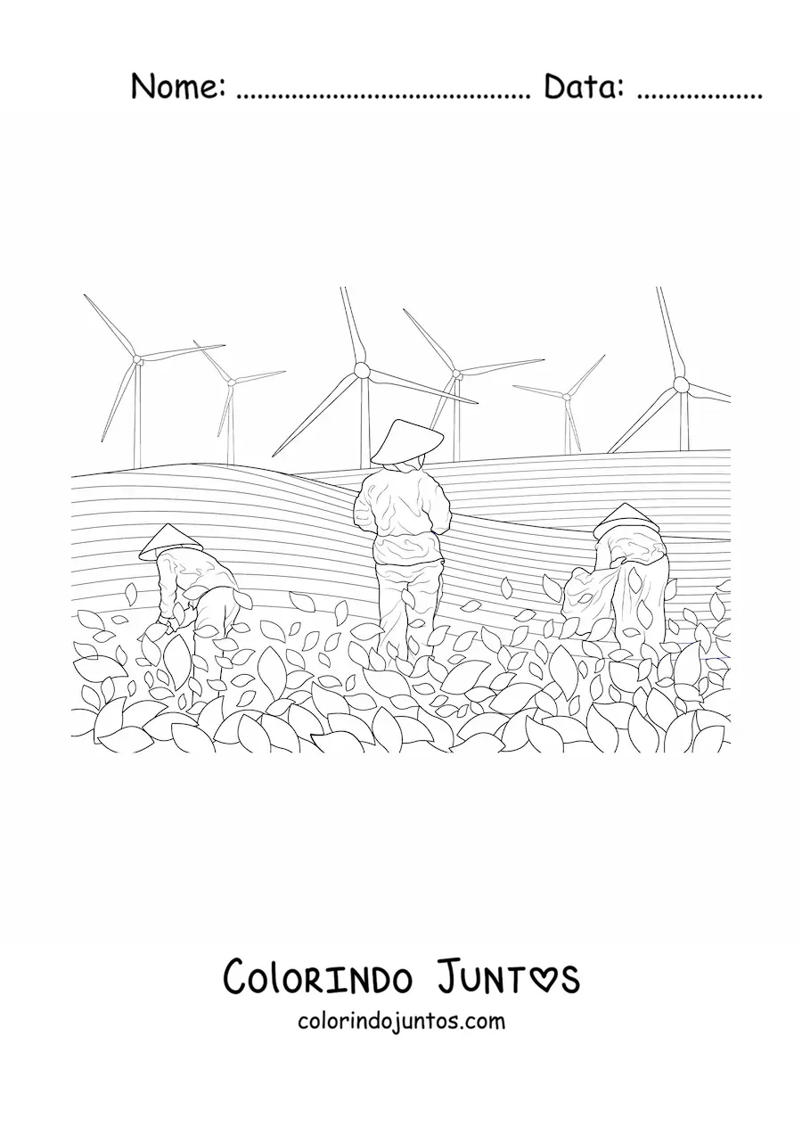 Desenho para colorir de um campo de cultivo de arroz