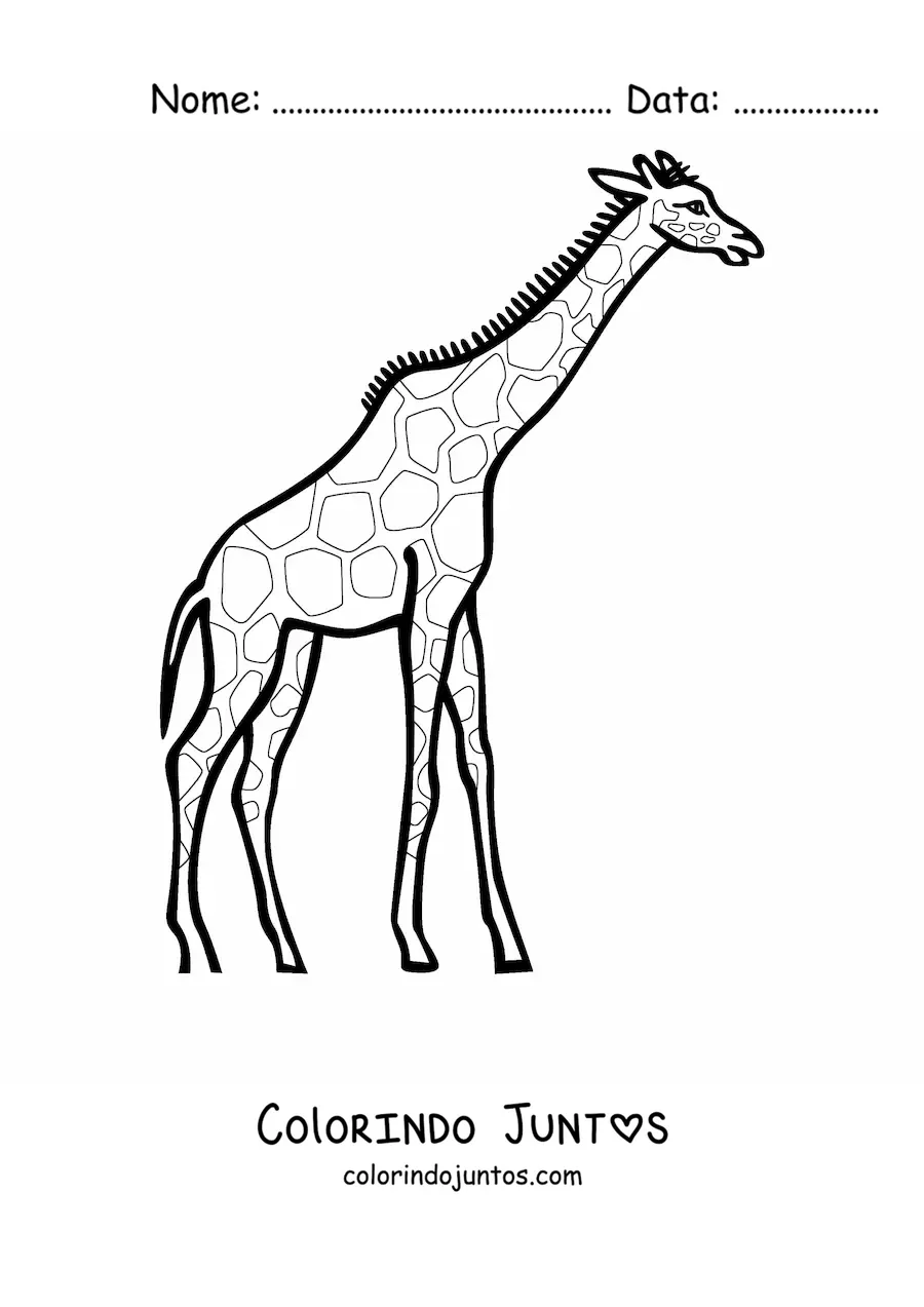 Desenho para colorir de uma girafa olhando para a direita esticando o pescoço