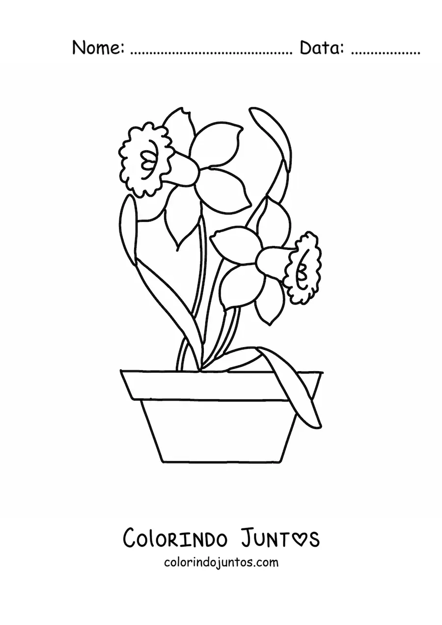 Desenho para colorir de uma flor de maio