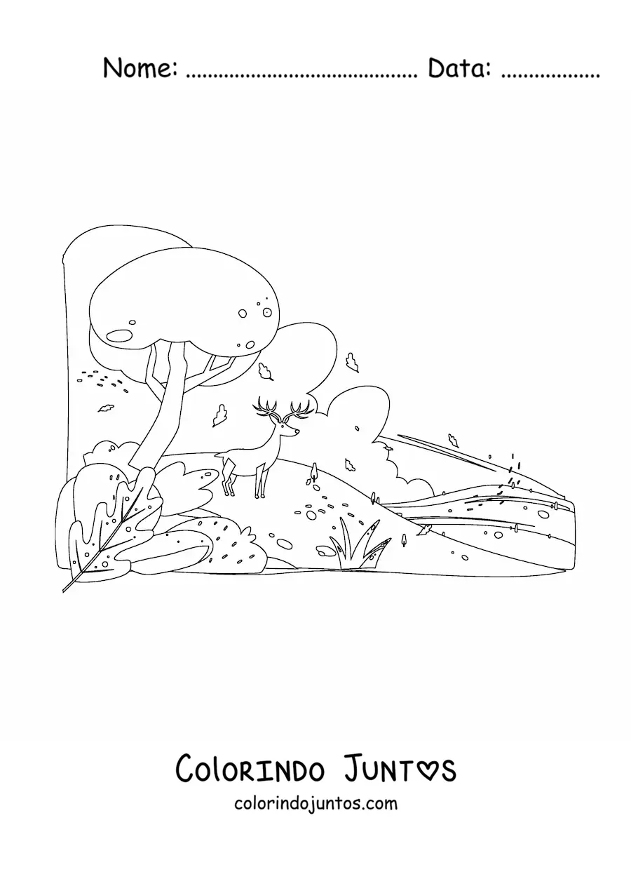 Desenho para colorir de uma floresta no outono
