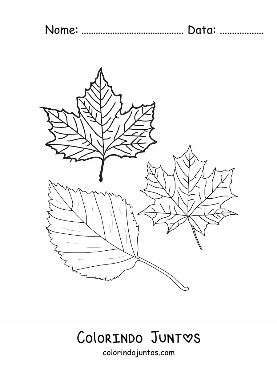 Desenho para colorir de duas folhas secas de outono