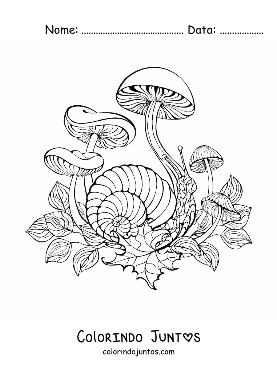 Desenho para colorir de varios cogumelos de outono