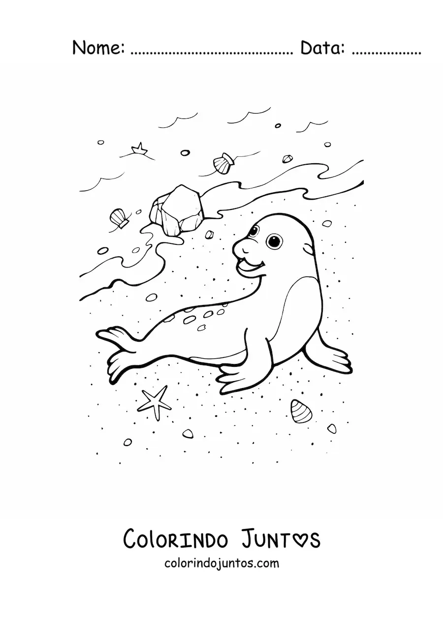 Desenho para colorir de uma foca na beira da praia