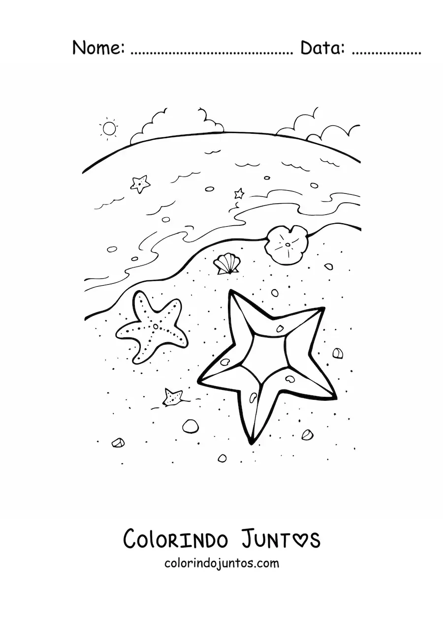 Desenho para colorir de várias estrelas-do-mar na beira da praia