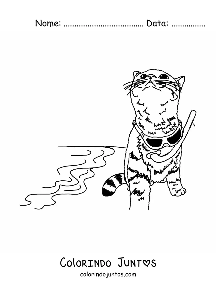 Desenho para colorir de um gato realista com óculos de sol na praia