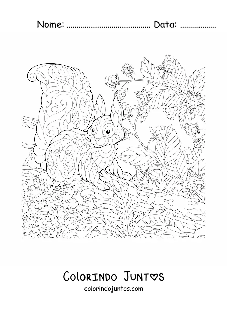 Desenho para colorir de um esquilo da floresta estilo mandala