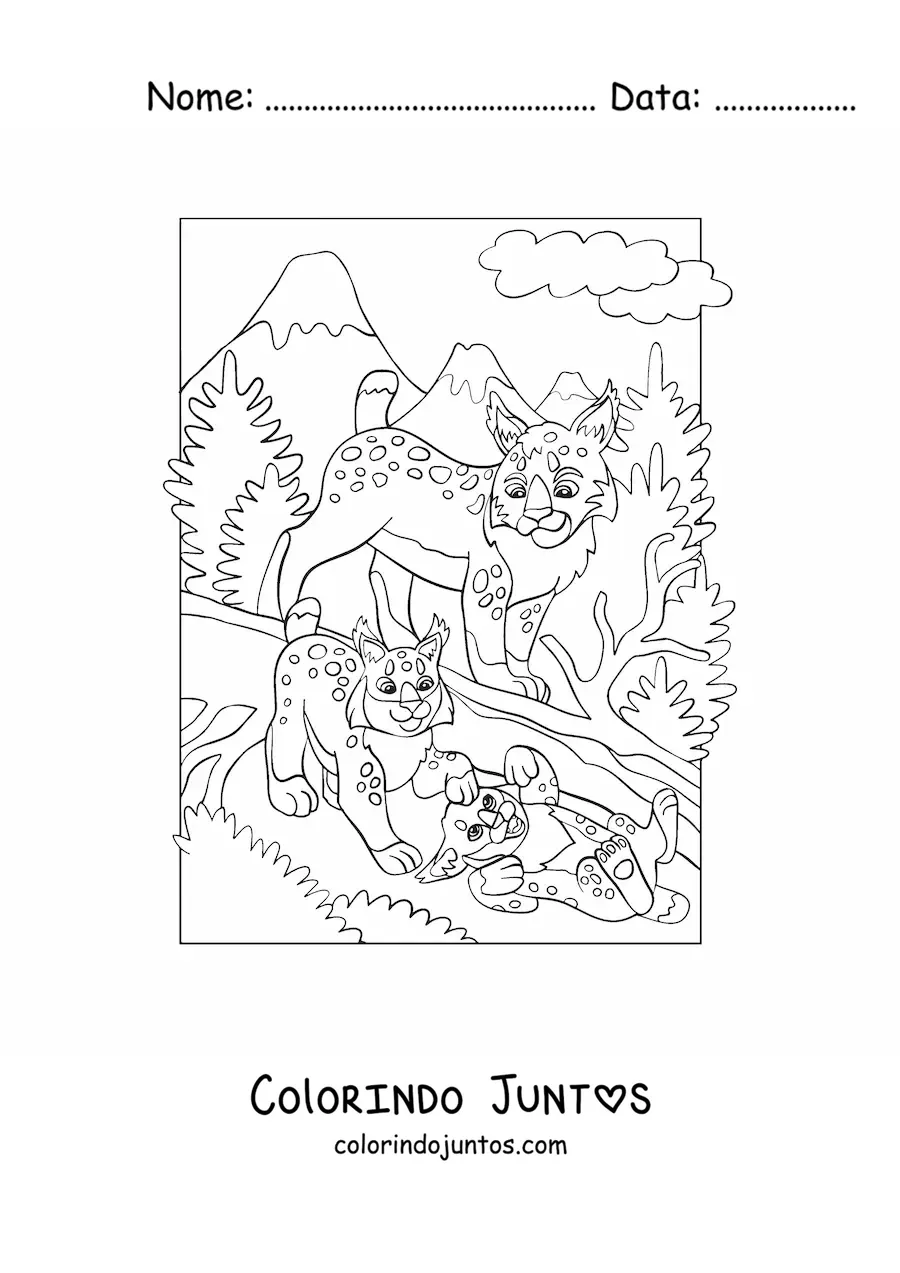Desenho para colorir de um grupo de linces na floresta