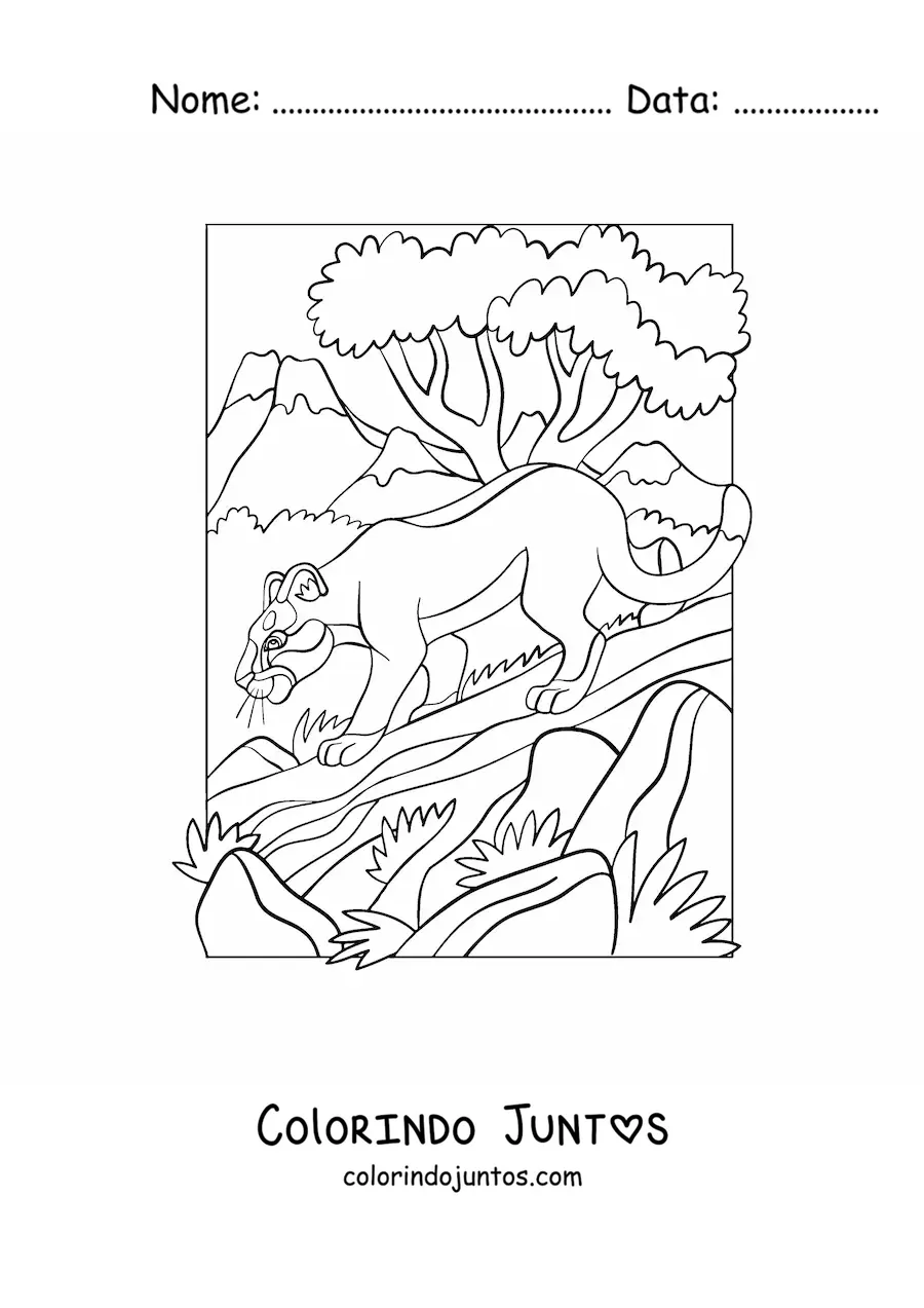 Desenho para colorir de um puma sobre um tronco na floresta