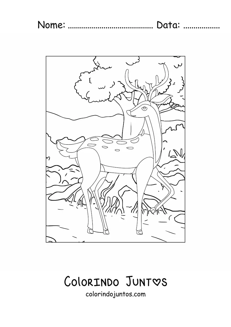 Desenho para colorir de um cervo na floresta