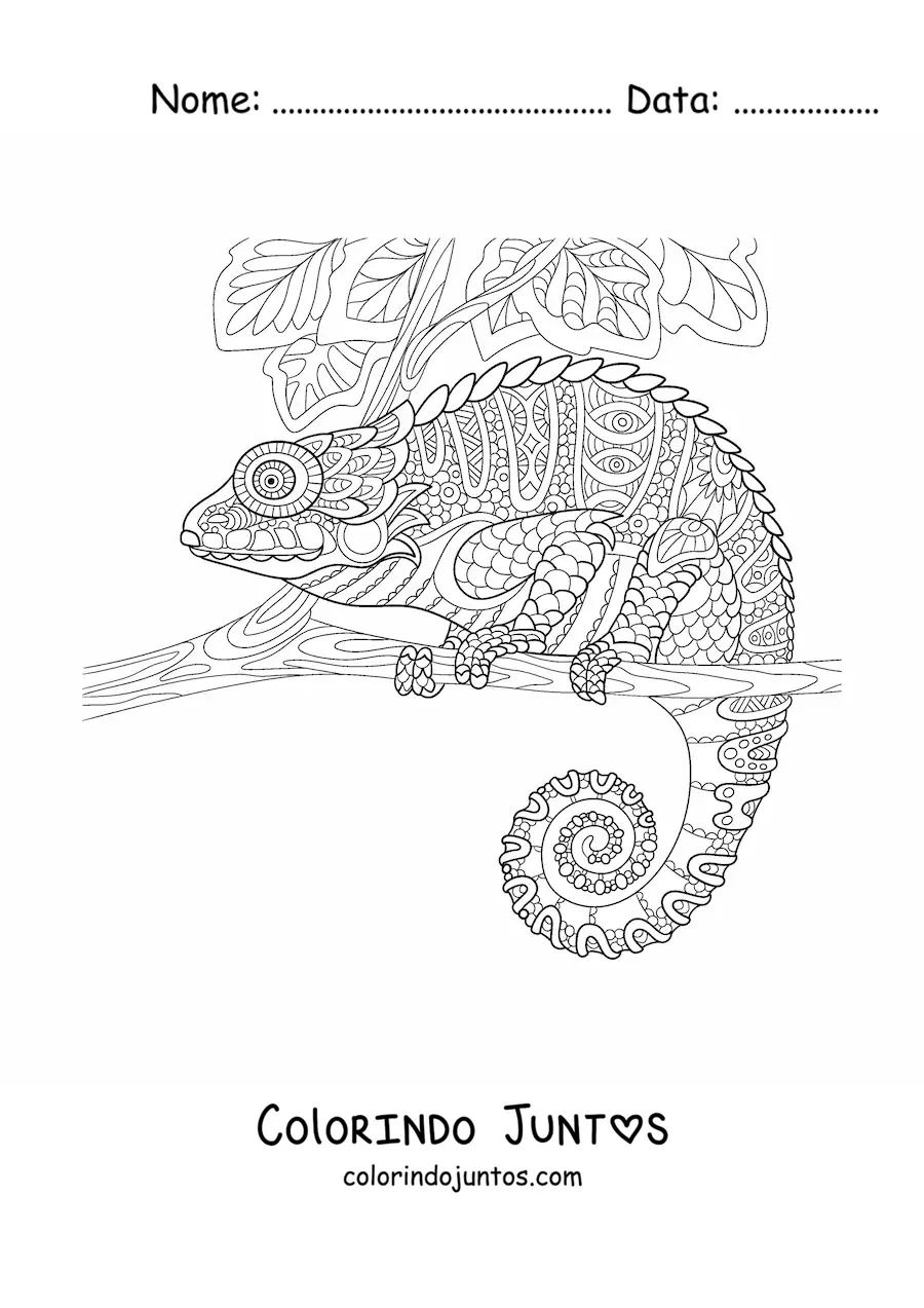 Desenho para colorir de um mandala com desenho de camaleão na selva