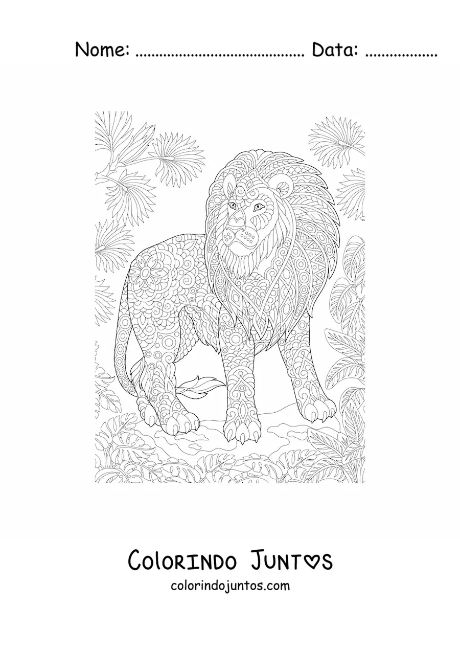 Desenho para colorir de um mandala com desenho de leão da selva africana