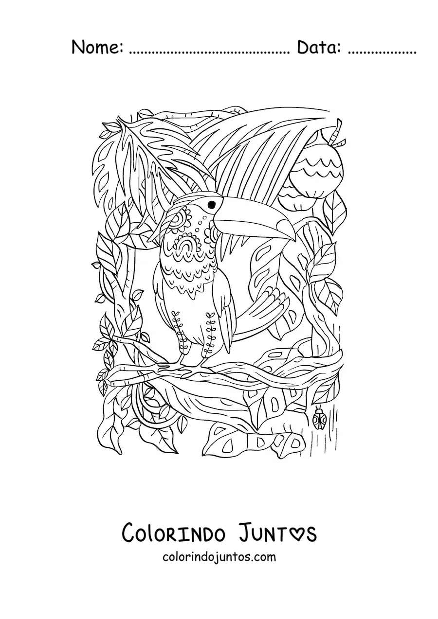 Desenho para colorir de um tucano na floresta tropical