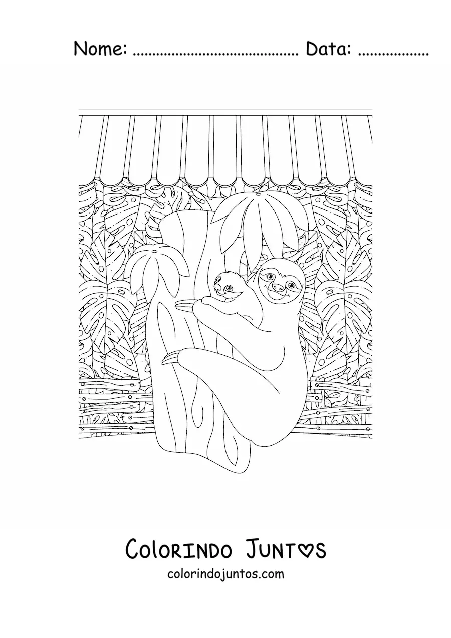 Desenho para colorir de duas preguiças da floresta tropical