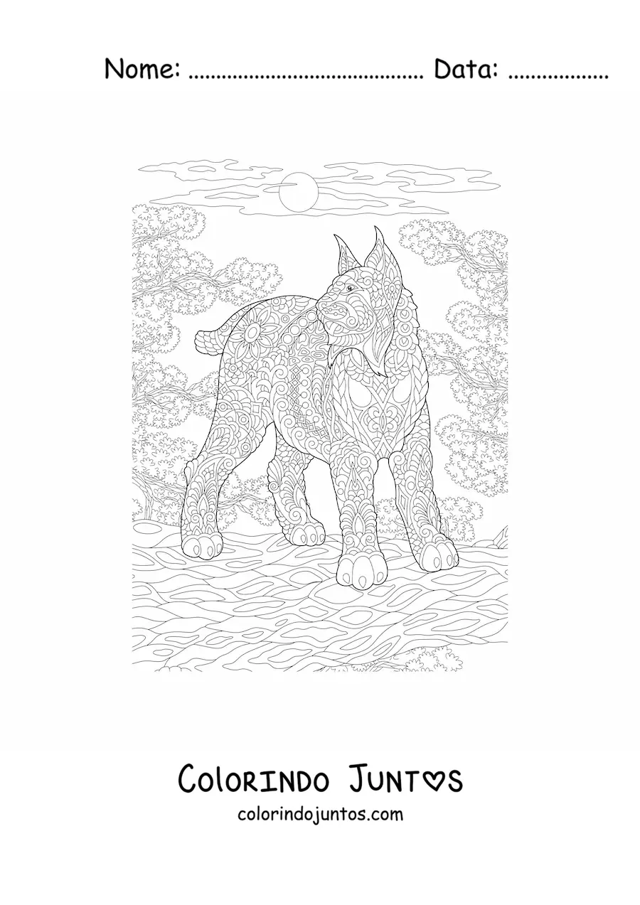 Desenho para colorir de um mandala com desenho de lince selvagem