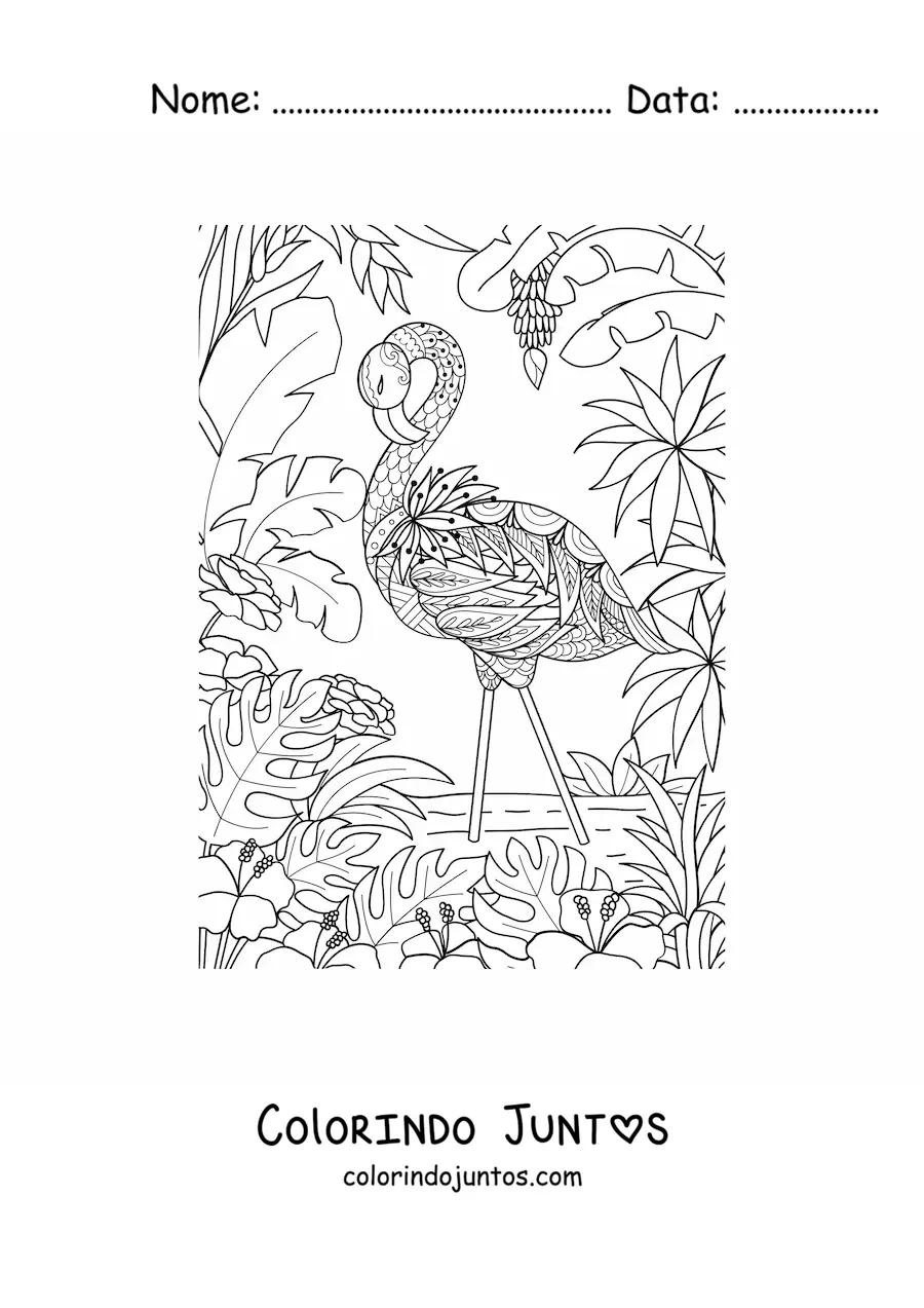 Desenho para colorir de um flamingo selvagem
