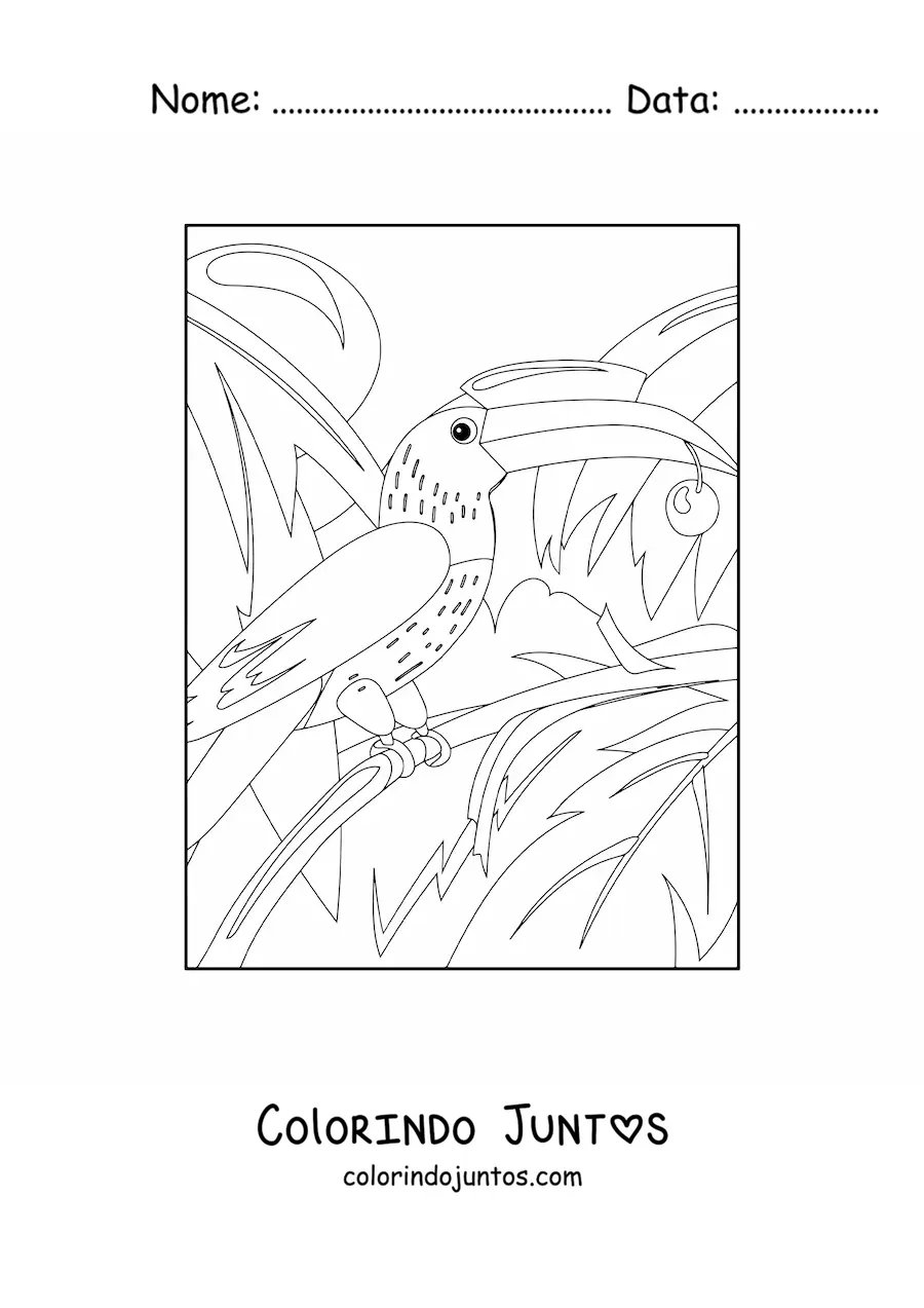 Desenho para colorir de um tucano na selva