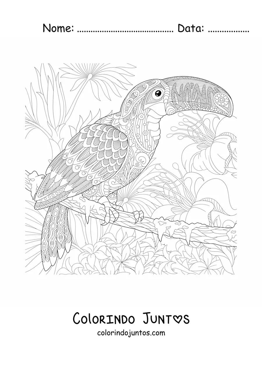 Desenho para colorir de um mandala com desenho de um tucano na selva