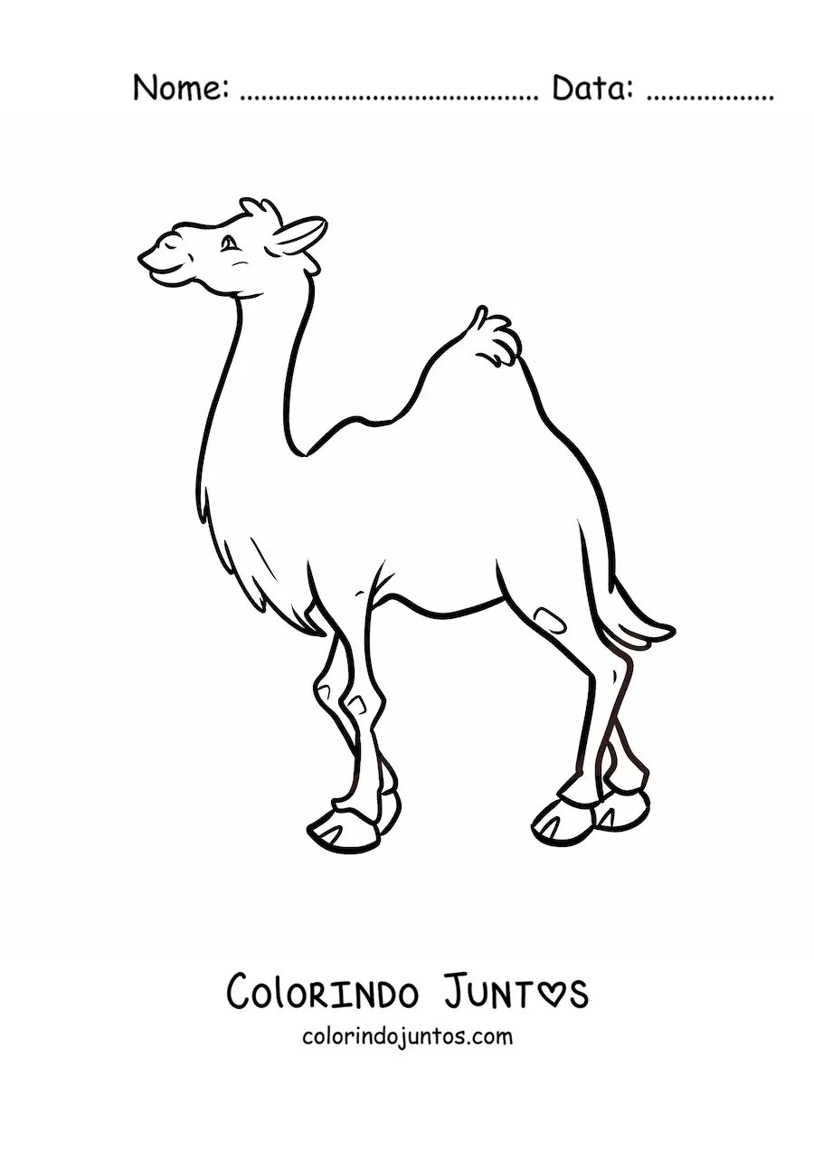 Desenho para colorir de um dromedário