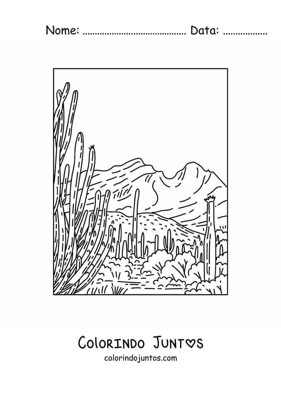 Desenho para colorir de uma paisagem desértica